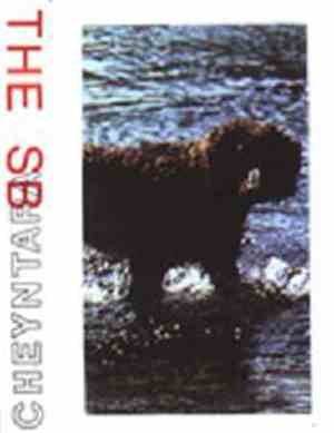 The SB / Cheyntara - Split