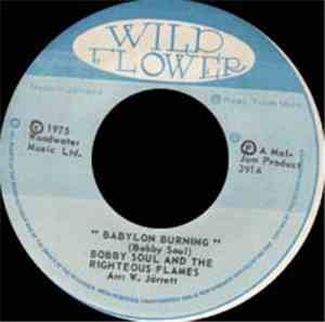 Bobby Soul  And The Righteous Flames - Babylon Burning
