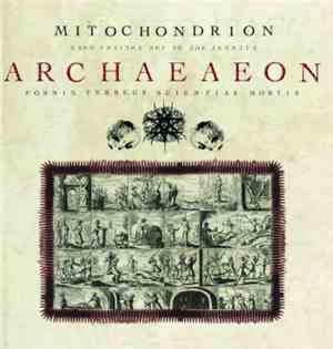 Mitochondrion - Archaeaeon
