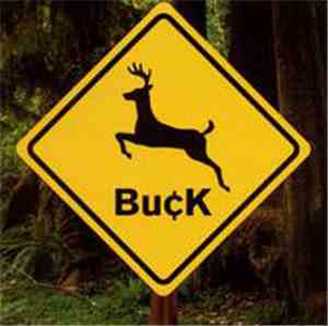 Buck  - Buck