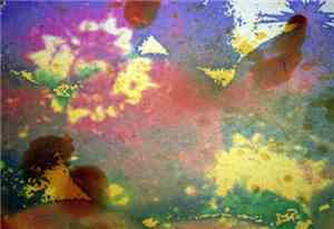 Pregnant Spore - Experiments In Putrid Putrefaction Satisfaction