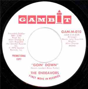 The Endeavors - Goin' Down (Mono / Stereo)