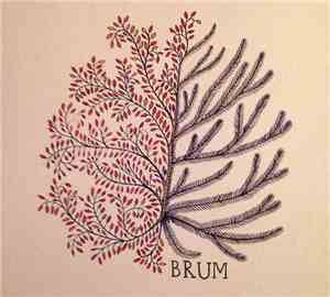 Brum  - Brum