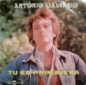 António Calvário - Tu És Primaveira