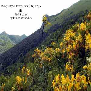 Nubiferous - Stipa Anomala