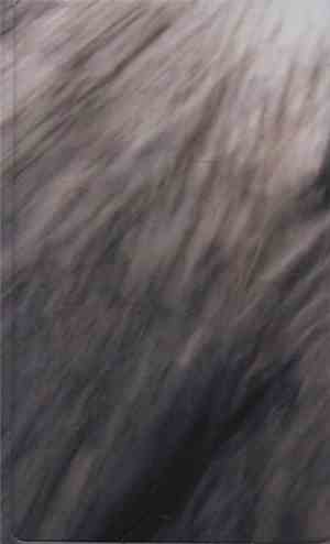 Taiga Remains - Glass Estuary