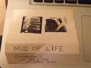 Eugene C. - Mud Of Life