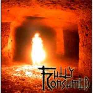 Fully Consumed - Fully Consumed