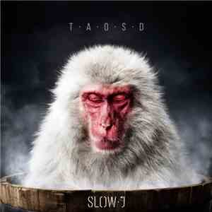 Slow J - The Art Of Slowing Down