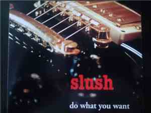 Slush  - Do What You Want