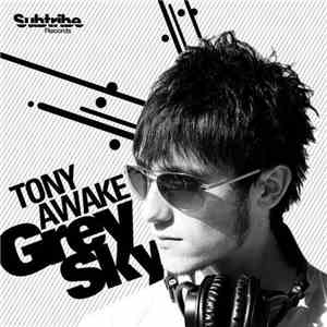 Tony Awake - Grey Sky