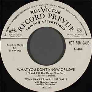 Tony Bavaar And June Valli - What You Don't Know Of Love (Could Fill The De ...