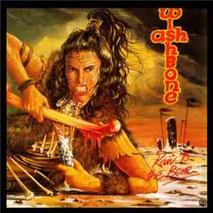 Wishbone Ash - Raw To The Bone