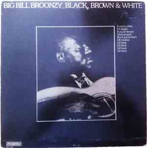 Big Bill Broonzy - Black, Brown & White