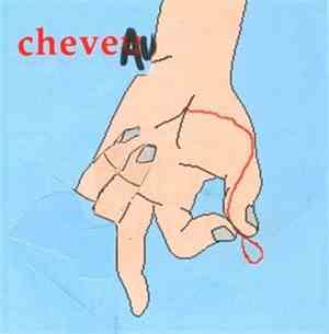 Cheveu - Cheveau