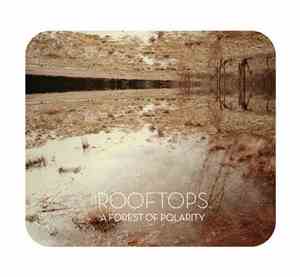 Rooftops - A Forest Of Polarity