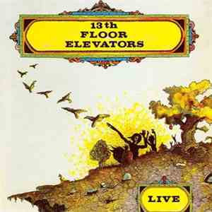 13th Floor Elevators - Live