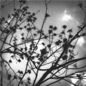 Claudio Rocchetti - Some Songs