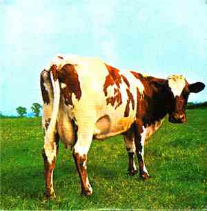 Pink Floyd - Atom Heart Mother