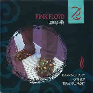 Pink Floyd - Learning To Fly