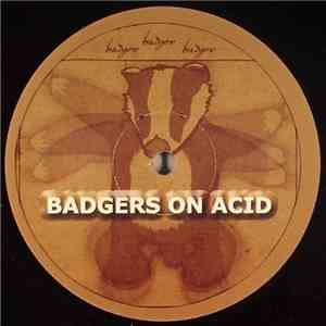 The TING, K Complex & Syfoon - Badgers On Acid