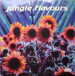 Various - Jungle Flavours