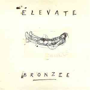 Elevate  - Bronzee