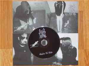 Beyond Of Desolation - Sombras De Dolor