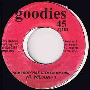 Mr. Wilson - Somebody Has Stolen My Girl