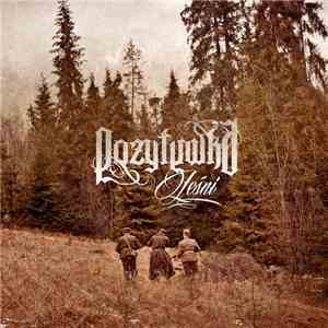 Pozytywka - Leśni