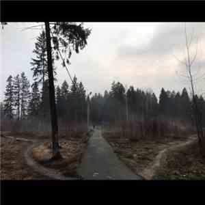 Razxca - Prostory Rodnyh Fields