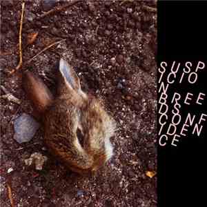 Suspicion Breeds Confidence - The Pink Carpet