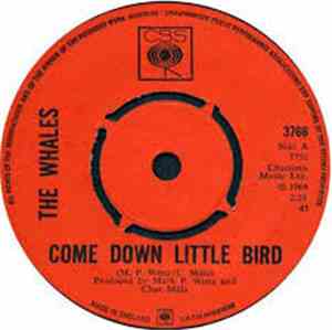 The Whales  - Come Down Little Bird