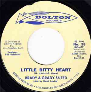 Brady & Grady Sneed - Little Bitty Heart / Leavin' It All Up To You