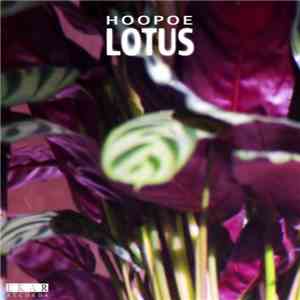Hoopoe - Lotus EP