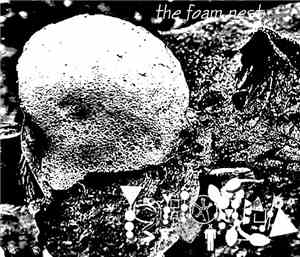 Phyllomedusa - The Foam Nest