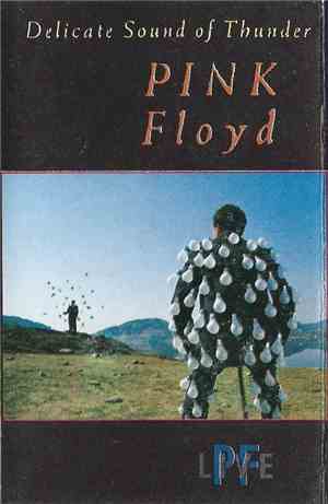 Pink Floyd - Delicate Sound Of Thunder