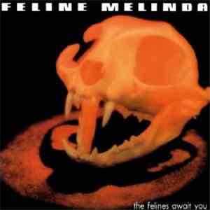 Feline Melinda - The Felines Await You