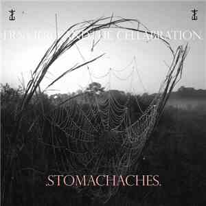 Frank Iero And The Cellabration. - .Stomachaches.