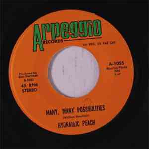 Hydraulic Peach - Many, Many Possibilities / Reminiscence Of 'Lexa