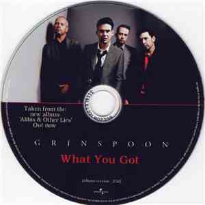 Grinspoon - What You Got