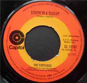 The Fortunes - Storm In A Teacup