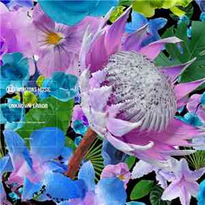 Unknown Error - The Yearning / Midnight Special