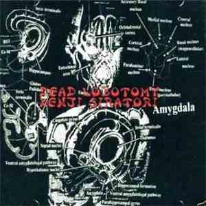 Kenji Siratori - Dead Lobotomy