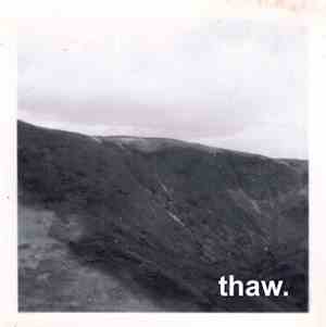 Thaw  - Thaw