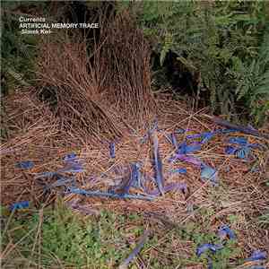 Artificial Memory Trace - Currents