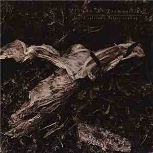 David Sylvian + Holger Czukay - Plight & Premonition
