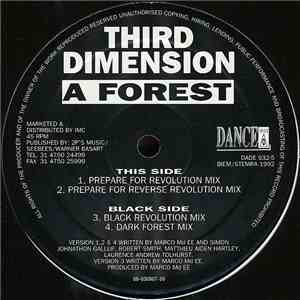 Third Dimension - A Forest