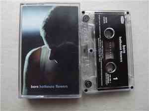 Hothouse Flowers - Born