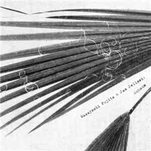 Masayoshi Fujita & Jan Jelinek - Schaum
